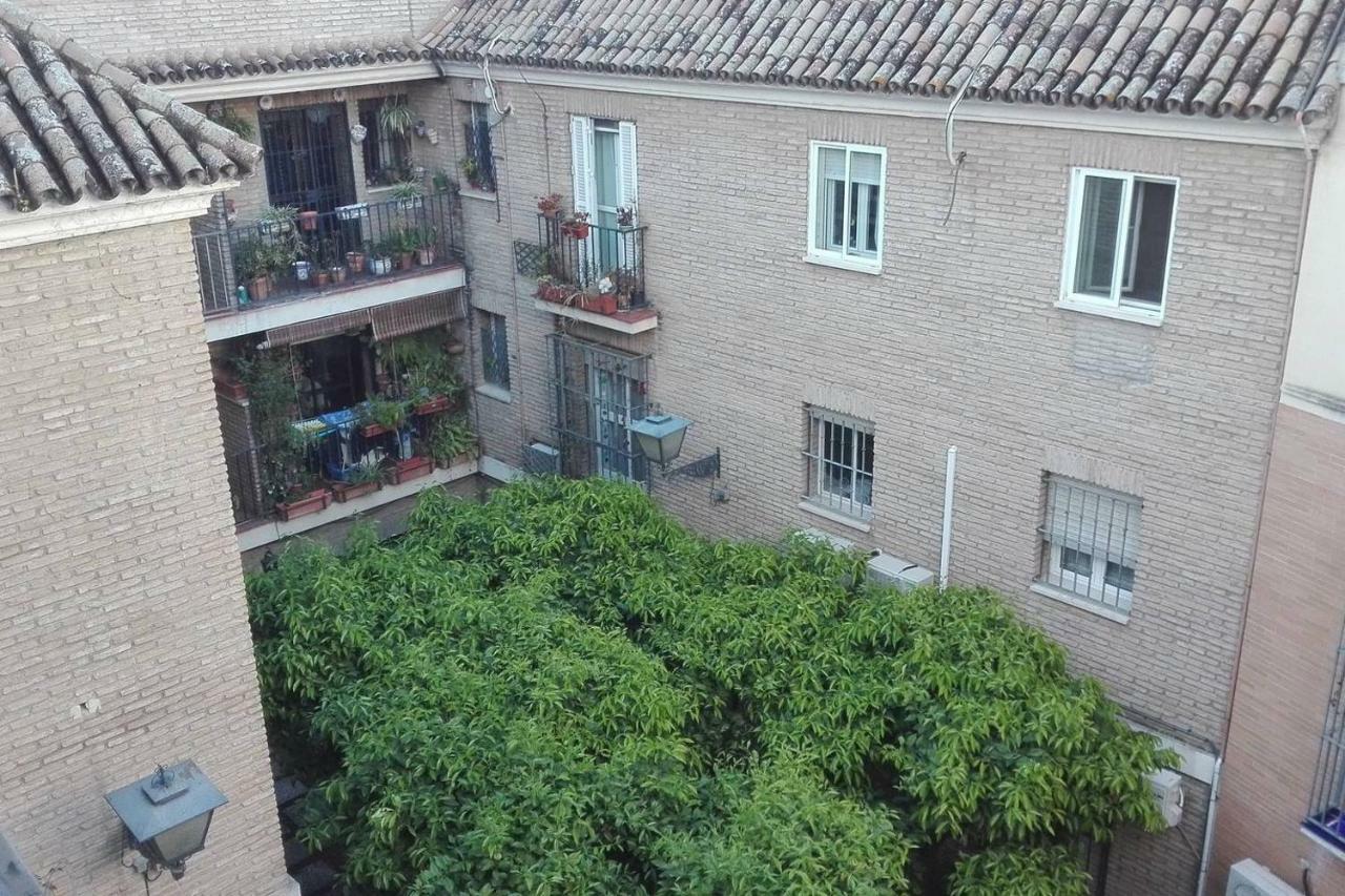 Alfalfa Home Sevilla Exterior foto